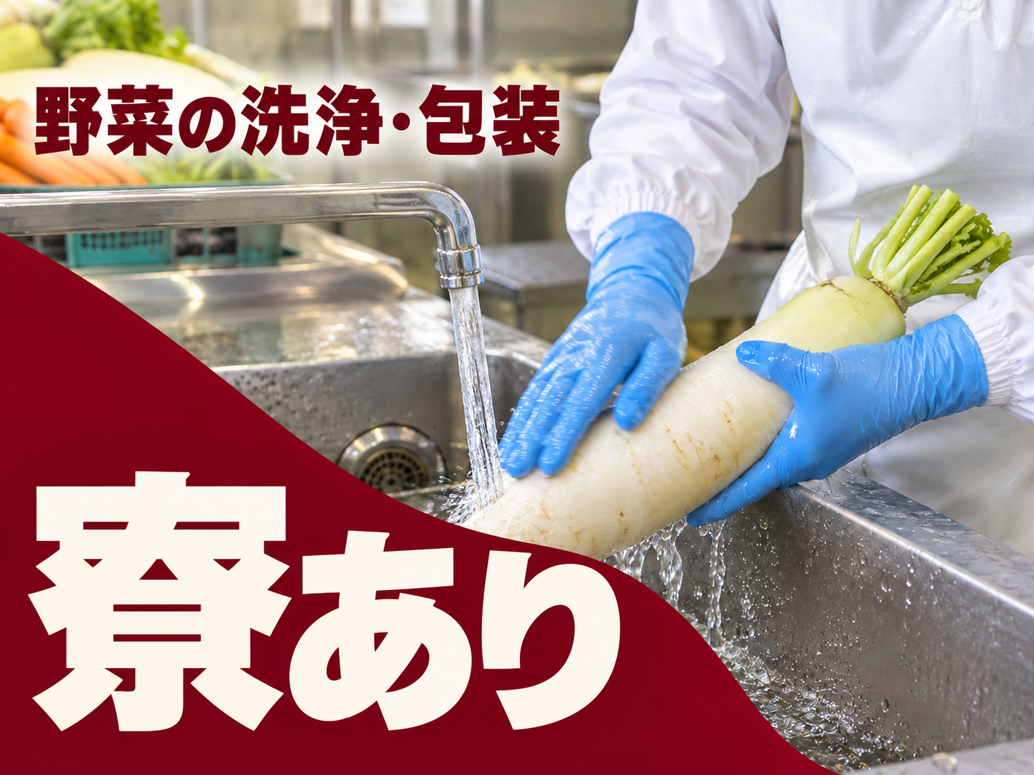 野菜の洗浄・パッキング